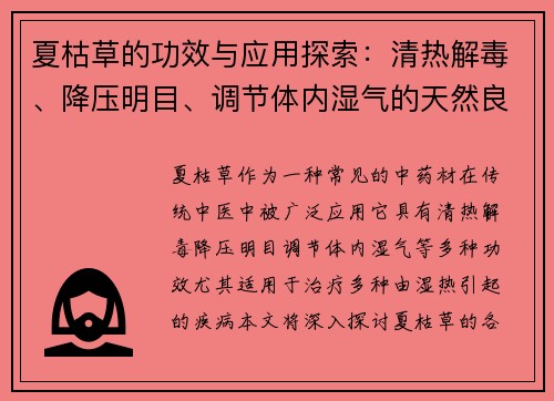 夏枯草的功效与应用探索：清热解毒、降压明目、调节体内湿气的天然良药
