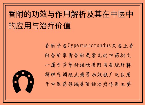 香附的功效与作用解析及其在中医中的应用与治疗价值